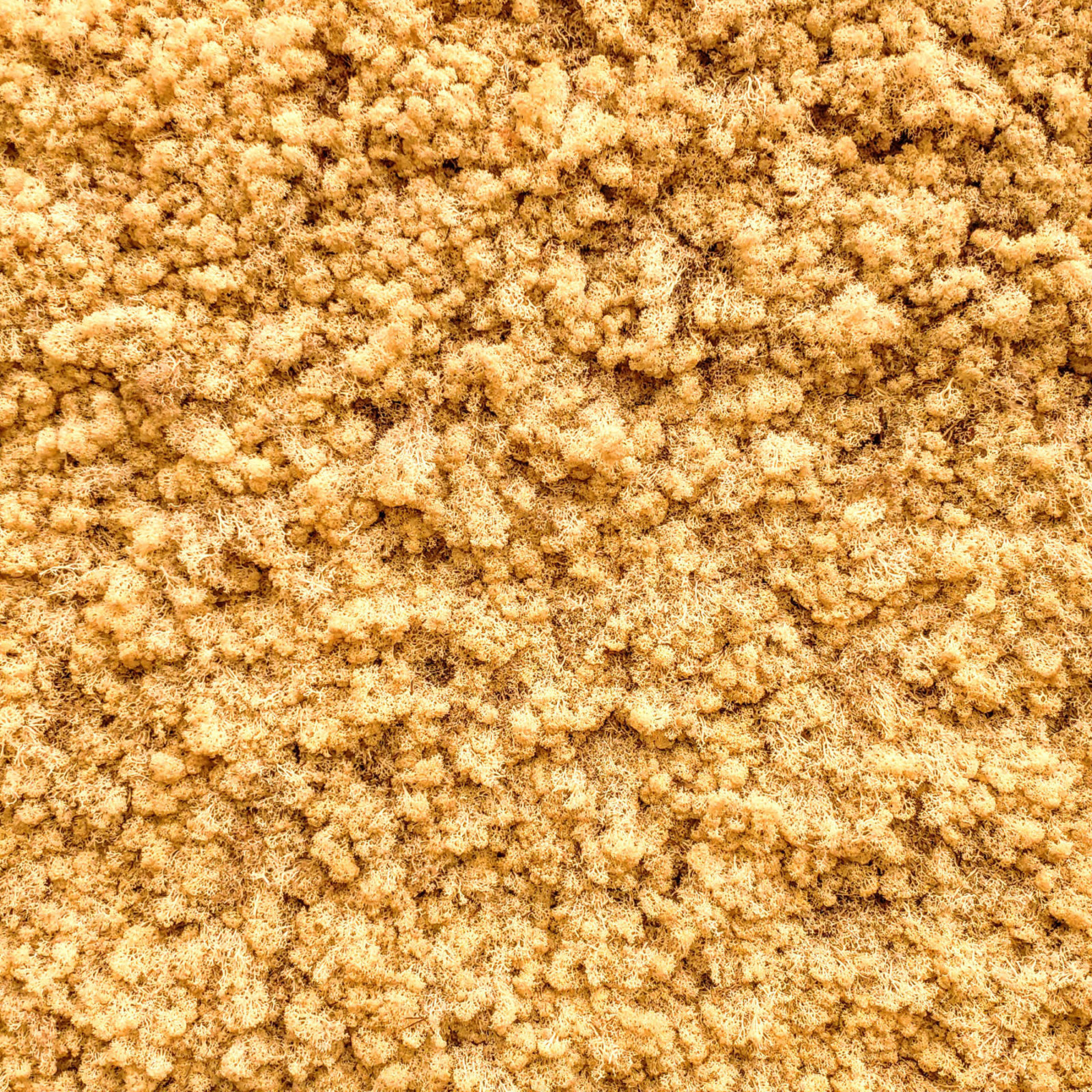 Olafur Eliasson Tate Modern Stories — Alessio Macrí